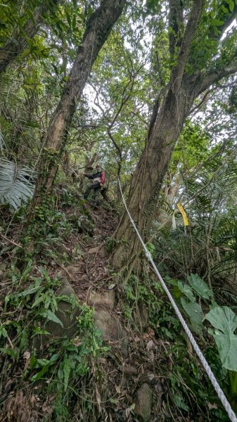 113.12.28小鷹尖-關山嶺-五八山-凌雲尖-龍女岩之旅2679366