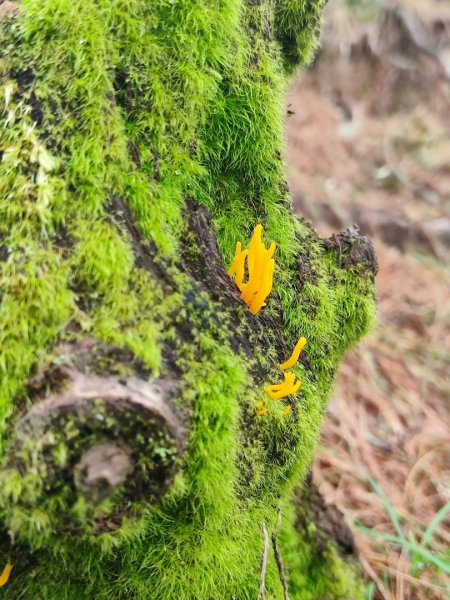 南湖群峰五天四夜2871889