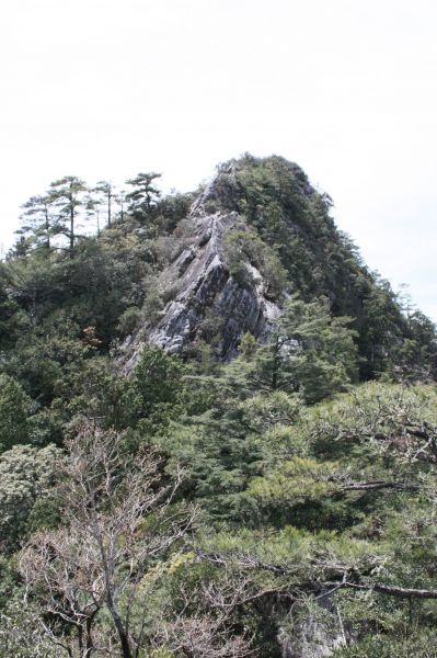 我的第一座中級山鳶嘴山111000