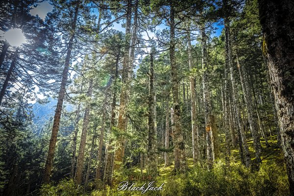 雪山主峰一日單攻963342