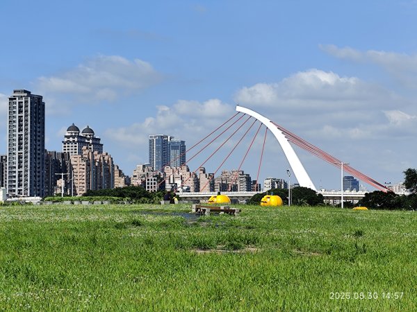 大佳、迎風、觀山河濱公園 (基隆河右岸、左岸)2800090
