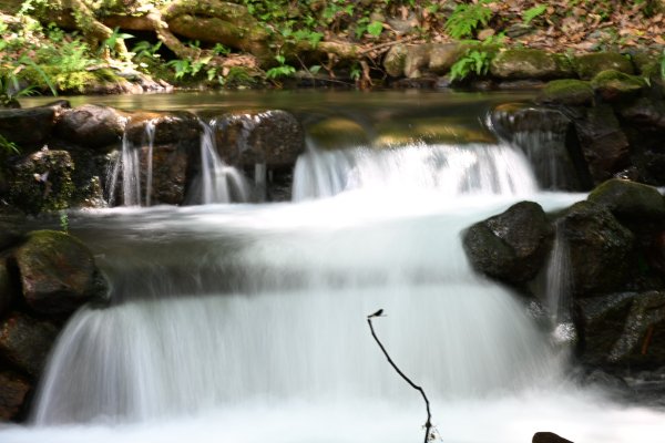 2025_0628 大羅蘭溪古圳步道(福山馬岸)2825217