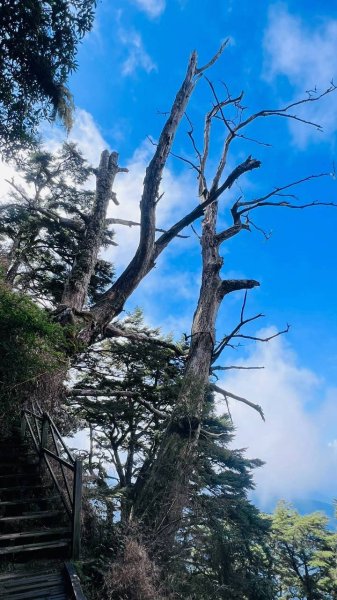 🌈10/6-7登上高峰~玉山主峰FB：熊熊趴爬走(富裕登山社)🌈3131618