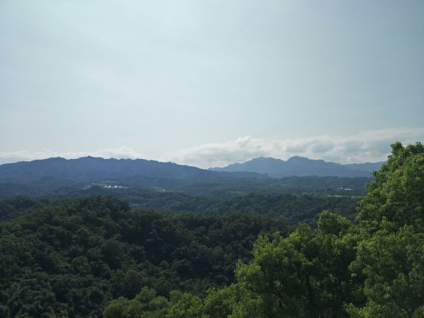 南觀音山步道374810