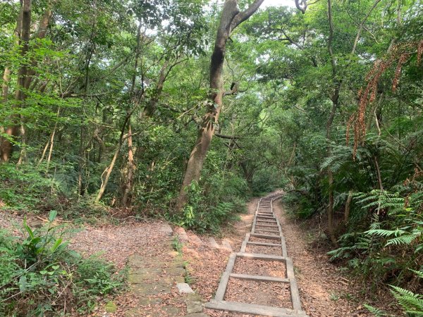 大崙頭尾山親山步道2767193