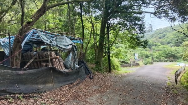 雙溪區烏山越嶺古道西段3073311