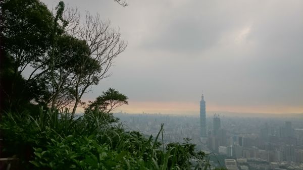 南港山縱走親山步道(拇指山、南港山、象山、九五峰)332898