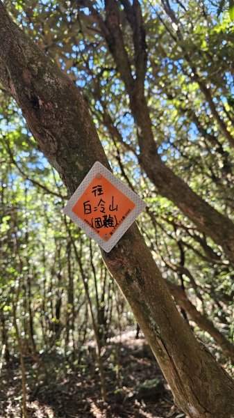 【細說大雪山木馬古道】橫嶺山、沙蓮山、笛吹山O繞2921080
