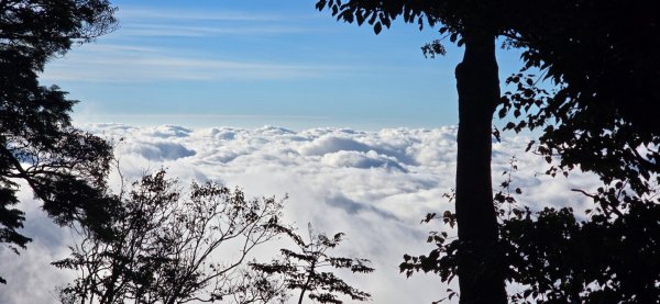 北大武雲海2948920