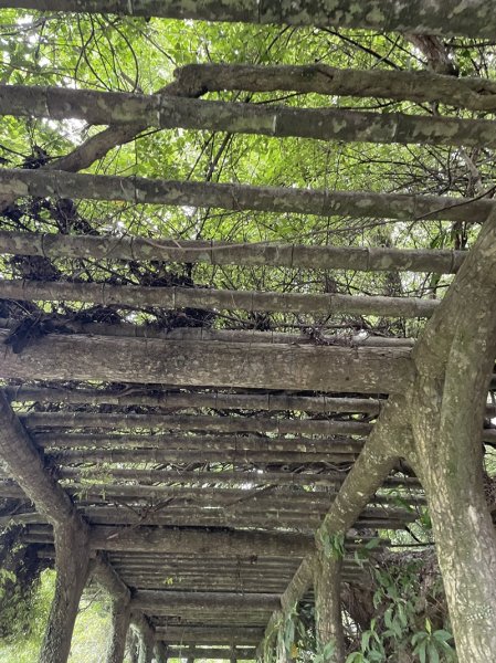 陽明山六瀑連走2877728