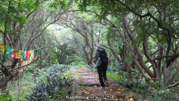 《彰化》果園古道｜廣天宮隴頂古道到鳳山寺O繞20250914