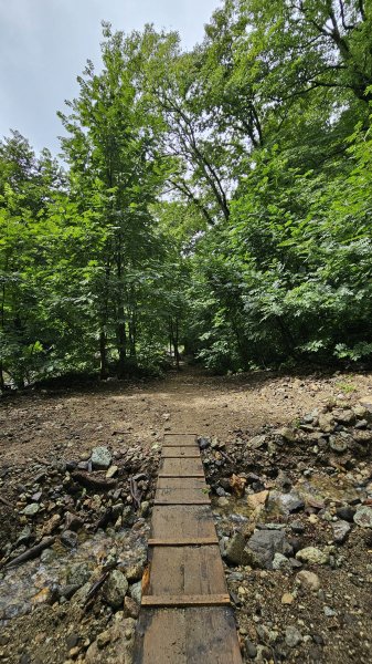 240814-白神山地世界自然遺產地域。美美兔不能錯過的日本東北健行路線。2603903