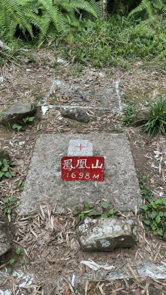 米堤香蕉園-鳳凰山-鳳凰南峰（台寅山） -金柑樹山-金柑樹山西北峰-領頭山東峰-忘憂森林2551806