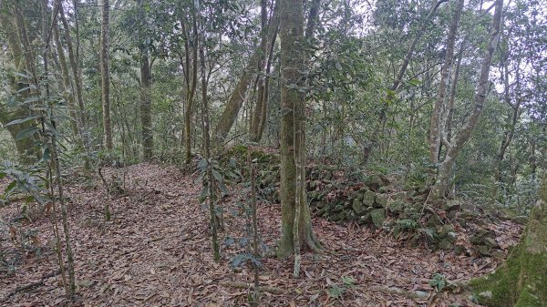 網子山、鳴海山3046437