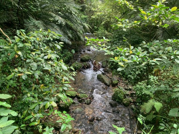 大崎棟古道、騎龍古道2772306