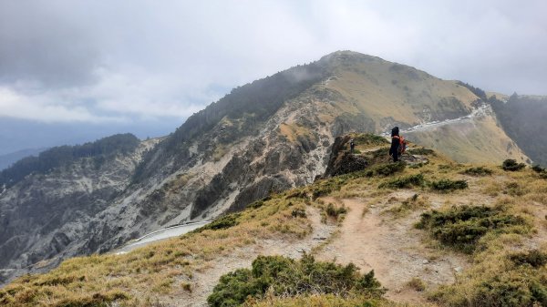 《南投》高山杜鵑盛宴｜哈哈山、石門山北峰202104181353402