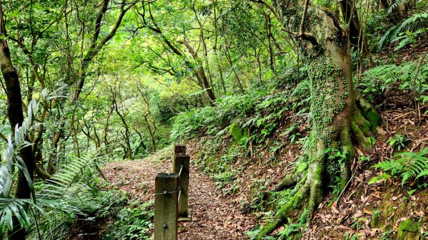 宜蘭桃源谷，灣坑頭山，基隆碇內尖，碇內尖砲台步道，碇內瀑布，暖東苗圃，暖東自然步道，益壽山，臥龍山2143972