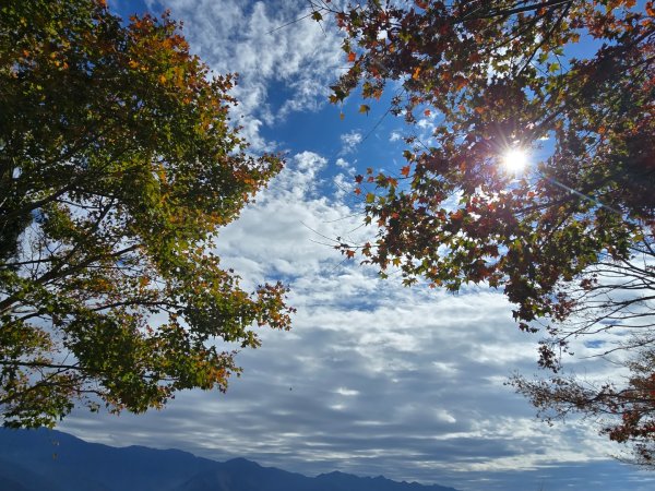 馬那邦山之雲海／雲瀑／楓紅／太陽琉璃光2668299