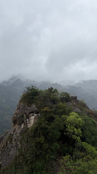 迎新（2026元旦2975594