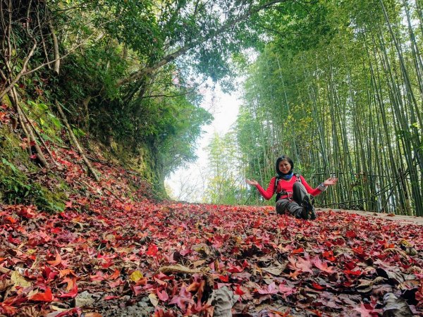 李崠山、泰平山、馬望僧侶山O走1211390