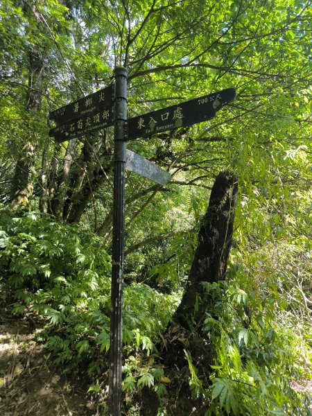 20251010微笑山線：【五分山系】菁桐煤礦段2910195