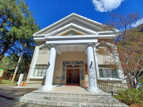 【台中和平】森林步道悠閒走。 八仙山森林遊樂區步道群2784607