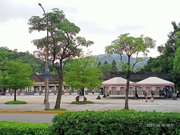 【臺北大縱走 7】樟山寺→樟樹步道→指南宮貓空親山步道→茶展中心步道→大成殿步道→指南宮竹柏參道2255458