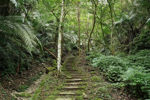 新竹 峨嵋 獅頭山、獅尾山、六寮山、猿山2450126