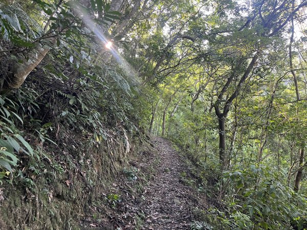 [淡蘭古道] 2025_0802 南路第四段2850822