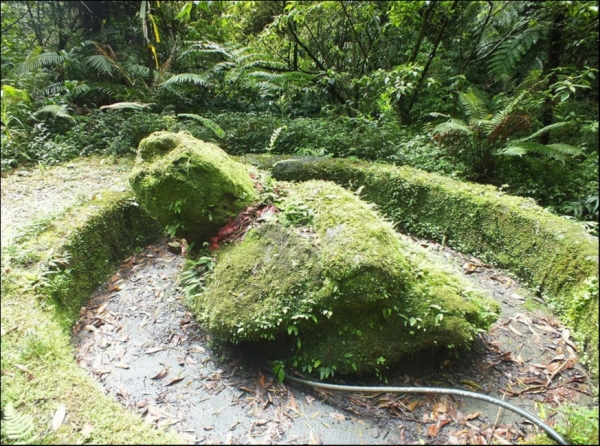 【新北市】乾坑古道、石龜將軍(平溪鄉野傳奇)