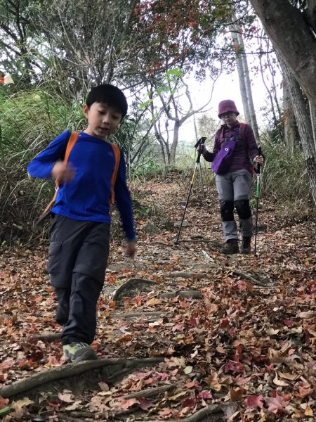 隱藏寧靜望美部落的望美山、望高寮、瓊山482374