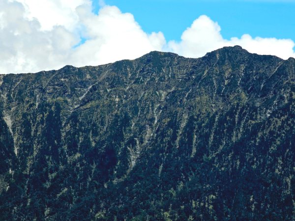 小奇萊步道-(南投)臺灣百大必訪步道2795669