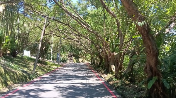 基隆市容軒步道-潮境公園雙膨山-七斗山(101高地)-望幽谷3112626
