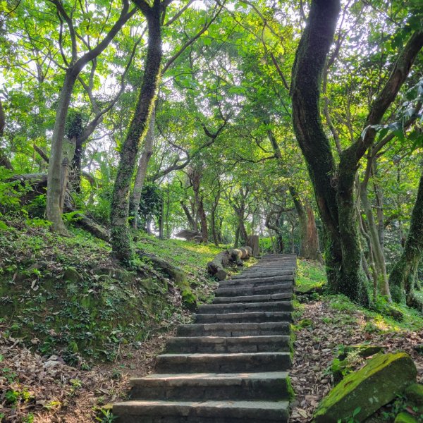 大尖山、四分尾山步道（小百岳）2132439