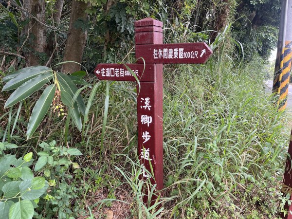 [皮皮獅探險隊-02/10] 2025_0706 漢卿步道、秀才步道2830914