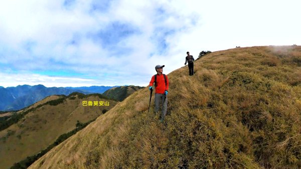 貼近山林來走個稍微不一樣風景的合歡山2989415