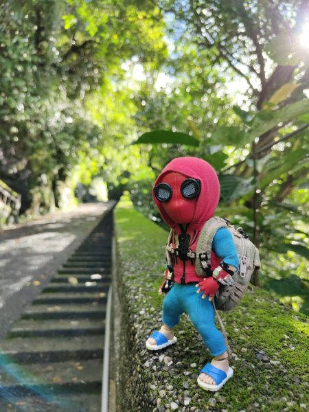 2023.12.14 紅淡山2826449