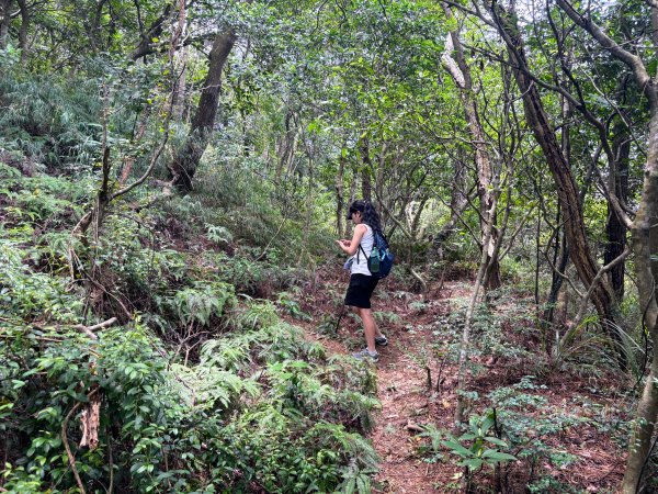 三段崎古道2835525