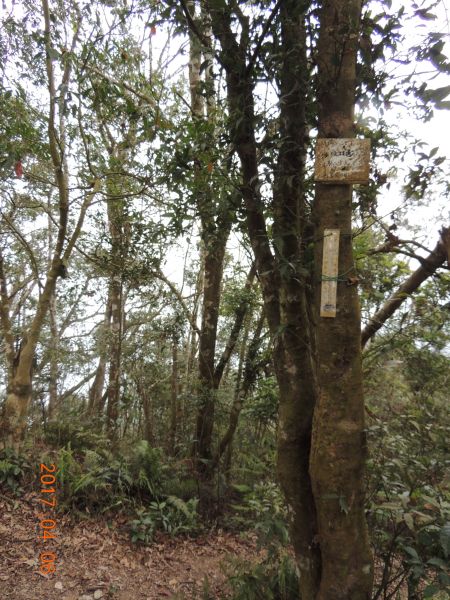 沙溪林道23.5K尾寮山步道東入口112862