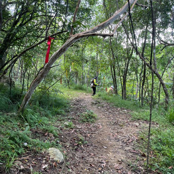 20251012_八里灣山（花蓮小百岳）2941306