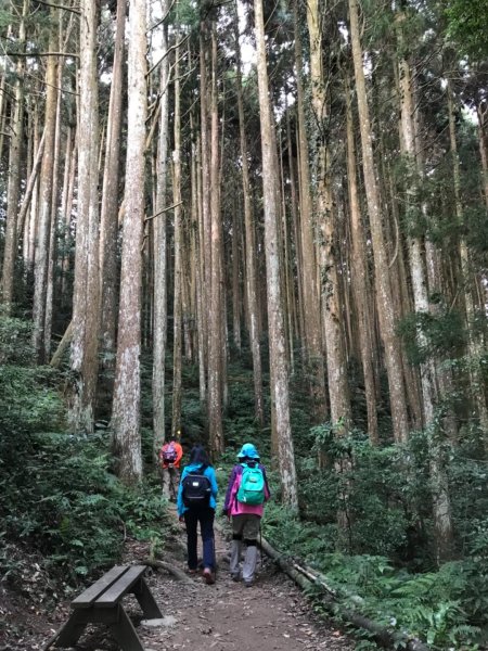 加里山鹿野線461336
