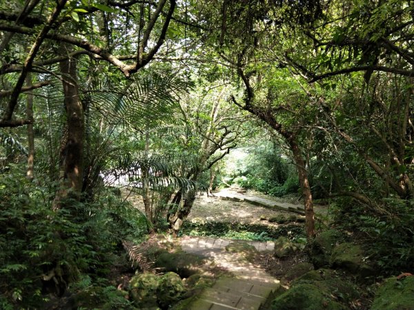 孝子山 慈母峰 普陀山1104707