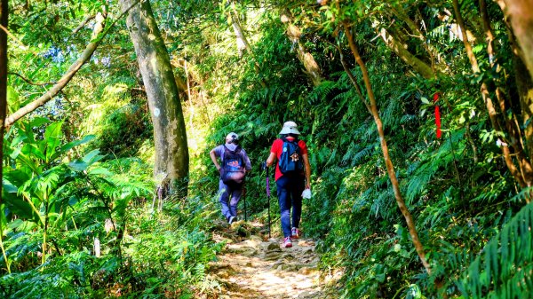 桃園石門山2916125