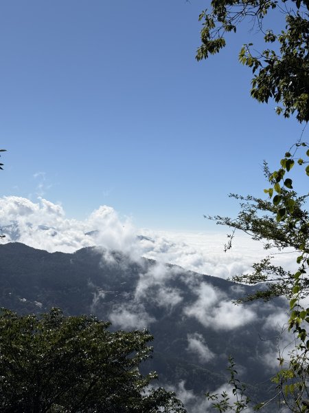1141215大塔山步道2996145