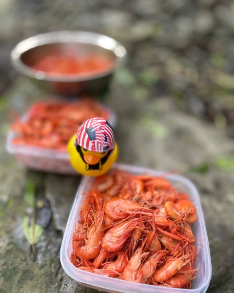 烏來加九寮溪-卡拉莫基清幽小秘境/釣魚💙2599984