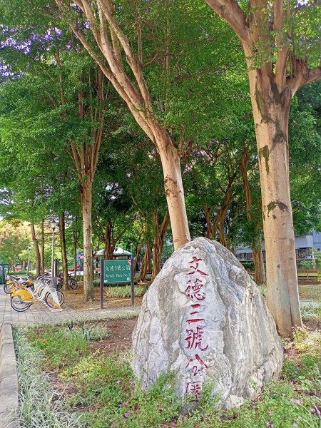 奇花異草的內湖文德三號公園、瑞陽公園【走路趣尋寶，全臺齊步走】1864217