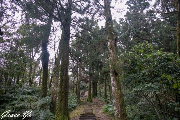 2018.2.13志繼山連走東眼山267583