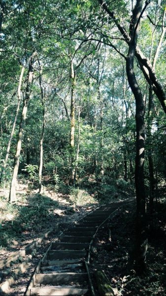 金面山 剪刀石 20181124465152