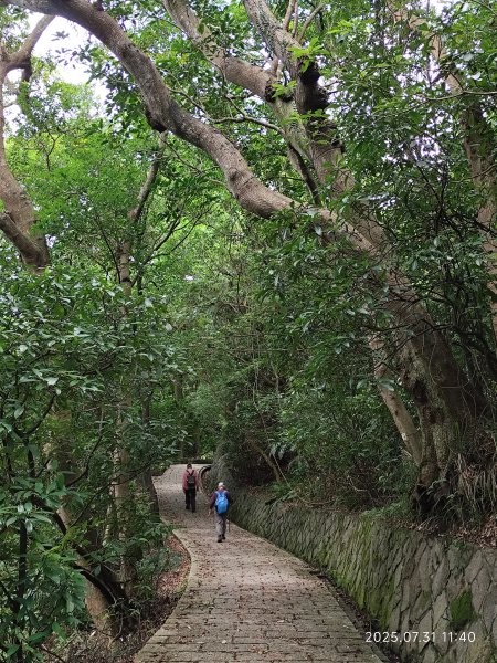 圓覺寺步道→新福本坑→碧湖步道→碧山公園→國立臺灣戲曲學院→碧湖公園→大港墘公園【臺北健走趣】2849262