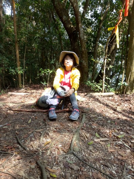 三角湖山向天湖山光天高山O形1911609